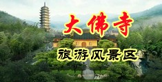 骚逼母狗被草中国浙江-新昌大佛寺旅游风景区